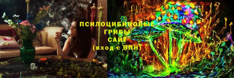 Галлюциногенные грибы Psilocybine cubensis  KRAKEN ссылки  Ирбит  сколько стоит 